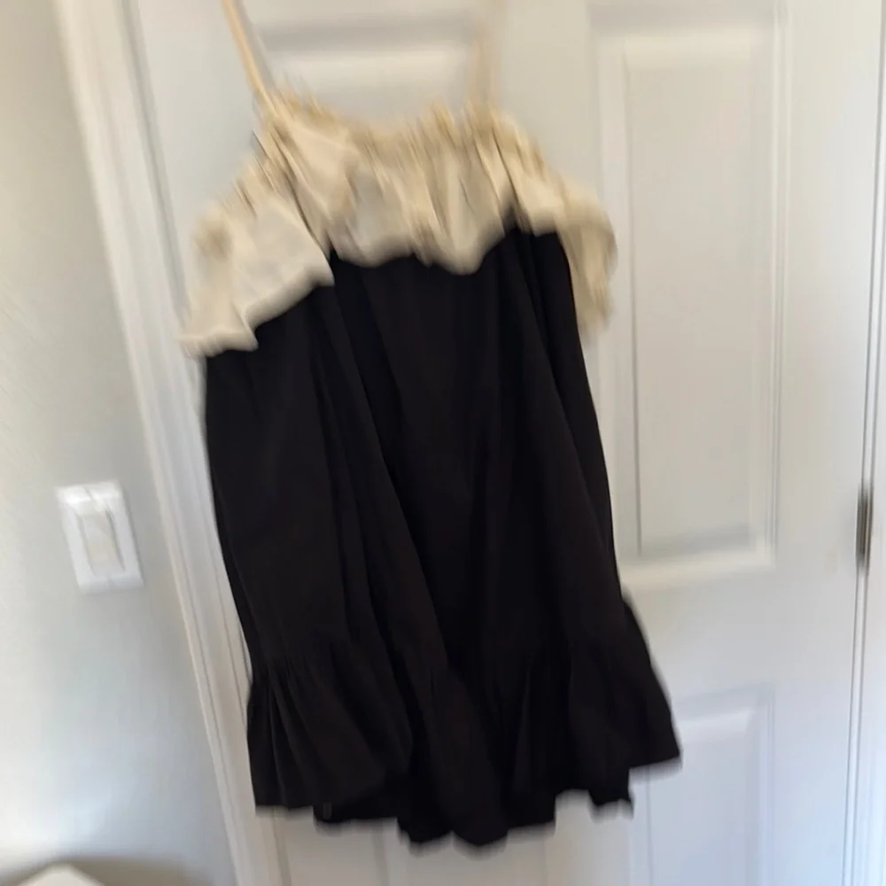 Anthropologie Black and White Ruffle Dress - Picture 5 of 6